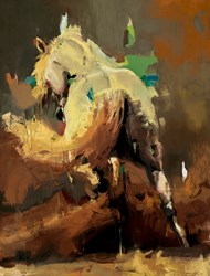 Arabian V by Christian Hook - Canvas on Board sized 24x18 inches. Available from Whitewall Galleries